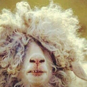 Christina  Kain-Oshel